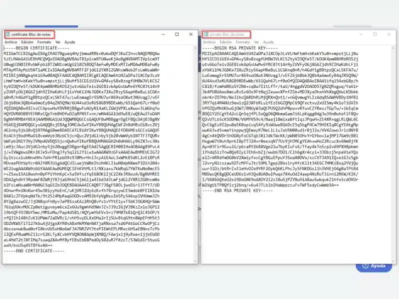 14. Abre los archivos certificate y private en un editor de textos plano