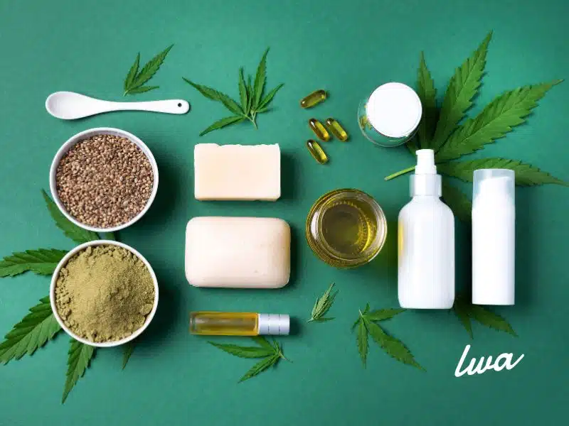 Emprender negocio Productos relacionados al Cannabis