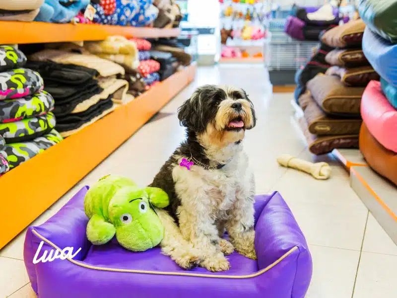 Negocios de Servicios y productos para mascotas