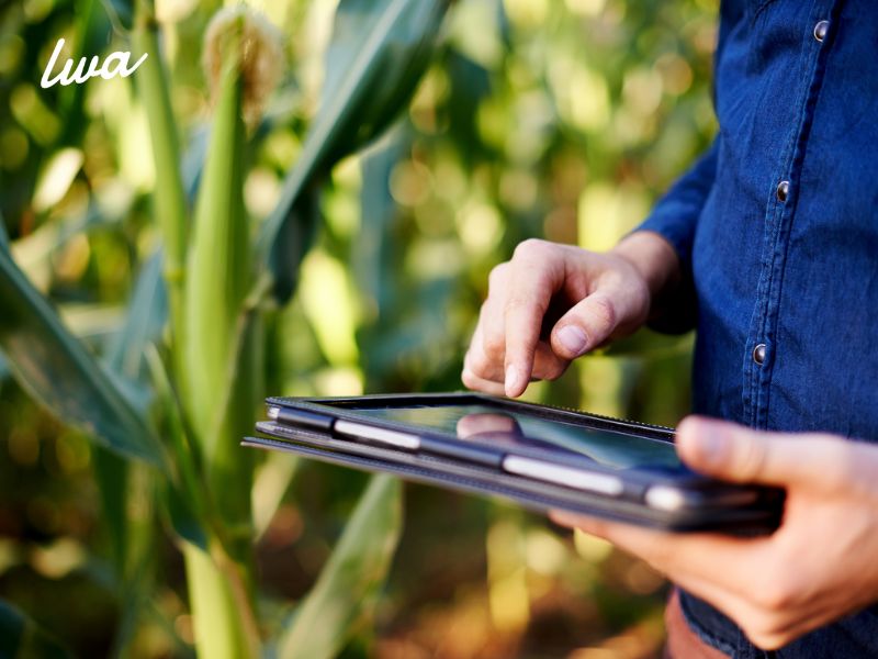 10 Oportunidades con Innovación en el sector Agrícola y Agritech