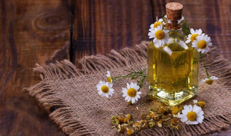 Biocorp: Crecimiento Integral con SEO y Social Media