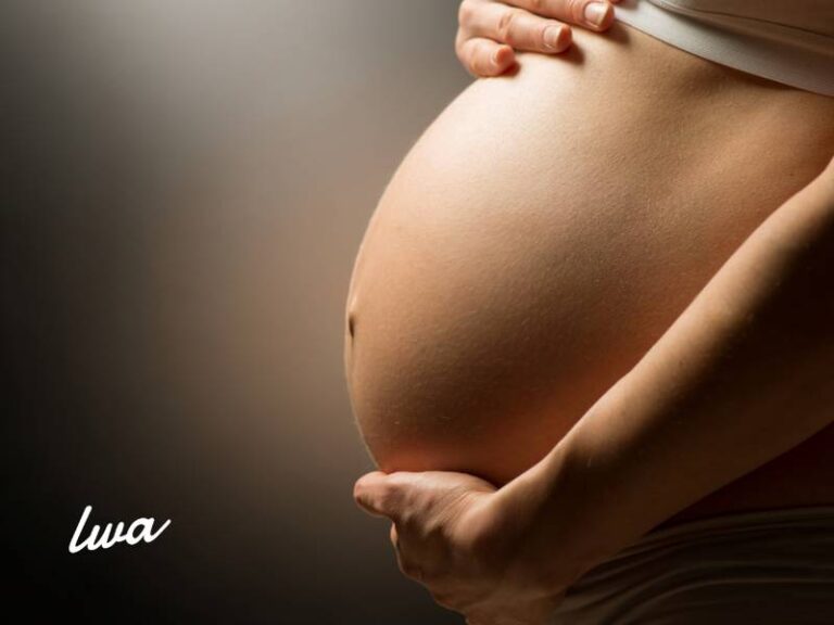 Family Aims: Gestión de Social Media y Contenido Real